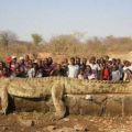 The Best Pics:  Position 45 in  - Biggest Crocodile of the World - Giant Aligator