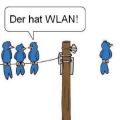 Die besten Bilder:  Position 29 in cartoons - Der hat Wlan - Vogel Cartoon