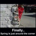 Die besten Bilder in der Kategorie allgemein: Der Frühling kommt - Spring is just around the corner