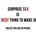 Die besten Bilder in der Kategorie allgemein: Überraschungs-Sex ist das Beste um aufzuwachen, wenn du nicht im Gefängnis bist.