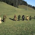 The Best Pics:  Position 141 in  - Funny  : gras, stroh, verkleidung