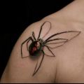 The Best Pics:  Position 16 in  - 3D Spider Tattoo