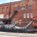 The Best Pics:  Position 75 in  - Crocodile Grafitti