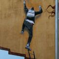 The Best Pics:  Position 99 in  - Climbing Grafitti