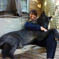 Die besten Bilder in der Kategorie hunde: Riesen Hund