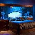 Die besten Bilder:  Position 2 in mÖbel - Nette Idee - Schlafen unter Aquarium