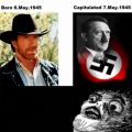 Die besten Bilder in der Kategorie quatsch: Chuck Norris vs. A. Hitler