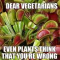 Die besten Bilder in der Kategorie allgemein: Dear Vegetarians even Plants Think That You are wrong