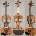 The Best Pics:  Position 223 in  - Skull Violin