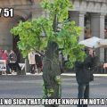 The Best Pics:  Position 32 in  - DAY 51 - Still no sign that people know im not a tree