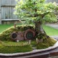 Die besten Bilder in der Kategorie allgemein: Beautiful - Bonsai Hobbit Haus Landschaft Baum