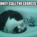 The Best Pics:  Position 80 in  - Honey, call the Exorcist