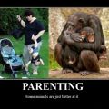 Die besten Bilder in der Kategorie allgemein: Parenting - Some Animals are just better at it
