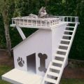 The Best Pics:  Position 51 in  - Deluxe Dog House