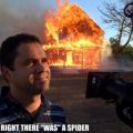 Die besten Bilder in der Kategorie allgemein: Thats right, there was a spider - Haus brennt wegen Spinne