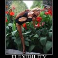 Die besten Bilder in der Kategorie sexy: So riecht man an Blumen - Flexibilität Deluxe