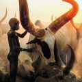 The Best Pics:  Position 10 in  - World Biggest Horns