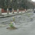 Die besten Bilder in der Kategorie allgemein: Das schönste daraus gemacht - Blumen-Schlaglöcher-Straße