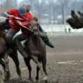 Die besten Bilder in der Kategorie allgemein: Russian Way to ride - Hund fliegt durch die Luft