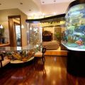 The Best Pics:  Position 70 in  - Fish Tank Living Room with Fishtank Table Wall 