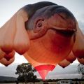 Die besten Bilder in der Kategorie allgemein: WTF - Titten-Schildkröten-Heissluftballon