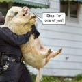 Die besten Bilder in der Kategorie quatsch: Polizeigewalt - Stop! I am one of you!