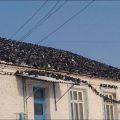 Die besten Bilder in der Kategorie voegel: Tauben-Invasion auf dem Dach