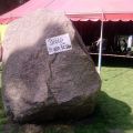 The Best Pics:  Position 49 in  - Rock Stone Please let lie 