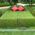 The Best Pics:  Position 216 in  - Lawn bed