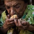 The Best Pics:  Position 34 in  - Old Women with young bird