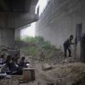 The Best Pics:  Position 46 in  - education under the bridge
