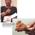 Die besten Bilder:  Position 97 in nahrung - Mc Donalds feine Köstlichkeiten - Chicken - Kopf - fritiert