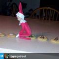 The Best Pics:  Position 18 in  - Gnome cookie