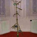 The Best Pics:  Position 310 in  - Christmastree