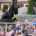 Die besten Bilder in der Kategorie gefaehrlich: Springreiten