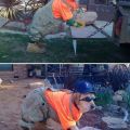 The Best Pics:  Position 19 in  - construction worker dog