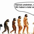 Die besten Bilder:  Position 221 in allgemein - Evolution, Rückzieher