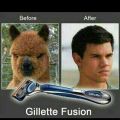 The Best Pics:  Position 39 in  - Gillette, Fusion, shave