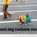 The Best Pics:  Position 19 in  - dog, costume