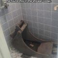 The Best Pics:  Position 604 in  - Shower, excavator