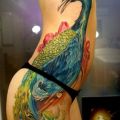 The Best Pics:  Position 19 in  - Female, Body, Colorful, Peacock, Tattoo