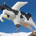 Die besten Bilder:  Position 100 in allgemein - flying, cow, milk, creative hot-air balloon