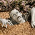 The Best Pics:  Position 535 in  - garden, gnomes, fun, zombies