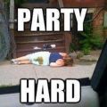 The Best Pics:  Position 29 in  - Party Hard