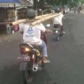 The Best Pics:  Position 52 in  - transport, ladder, Occupational safety, moped, motorcycle, head, dangerous