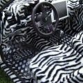 Die besten Bilder in der Kategorie autos: Zebra-Innenausstattung eines Autos