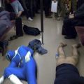 The Best Pics:  Position 82 in  - drunk, pissed, alcohol, train