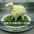 The Best Pics:  Position 51 in  - Sheep, cauliflower, vegan
