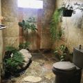 The Best Pics:  Position 2 in  - Plants, shower, toilet, jungle