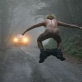 The Best Pics:  Position 19 in  - Funny  : Hirnlose Begegnung im Wald